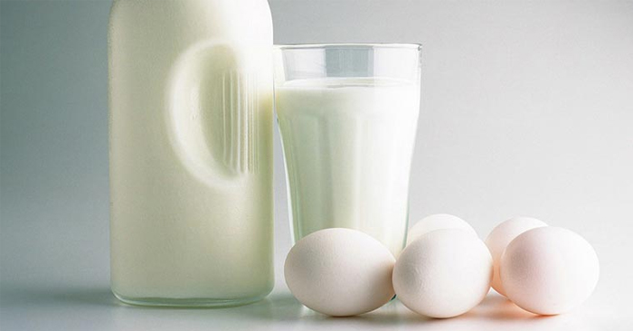 Thịt, trứng sữa… giàu protein